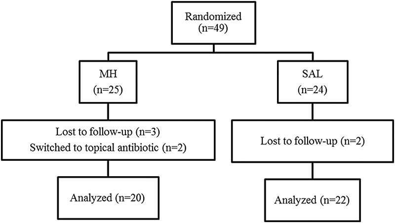 Biofilm structure